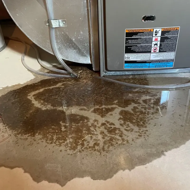 Pipe Burst and Leak Restoration in Blanchard, OK